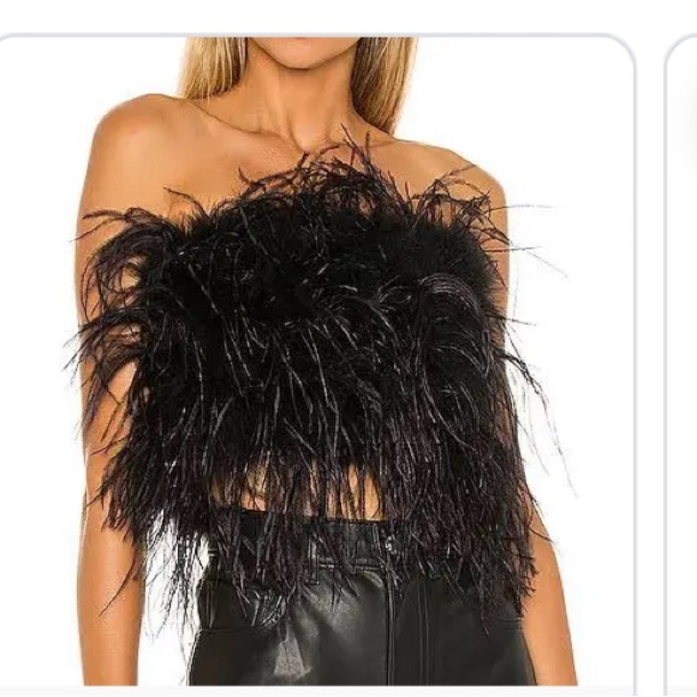 Lamarque Zania feather bustier top. XS.